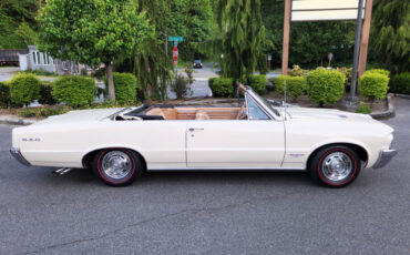 Pontiac-GTO-1964-Convertible-8
