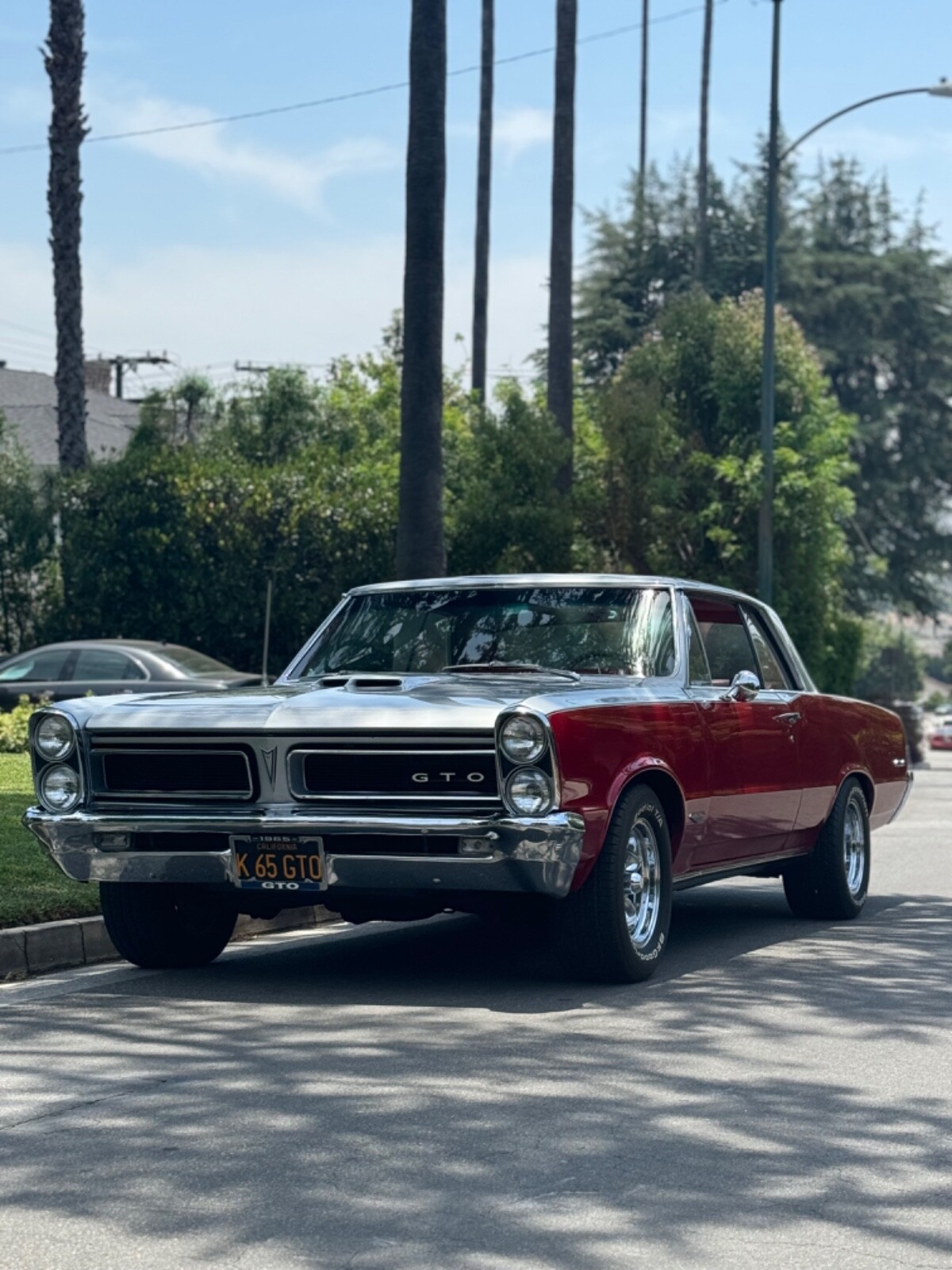 Pontiac-GTO-1965-Coupe-1
