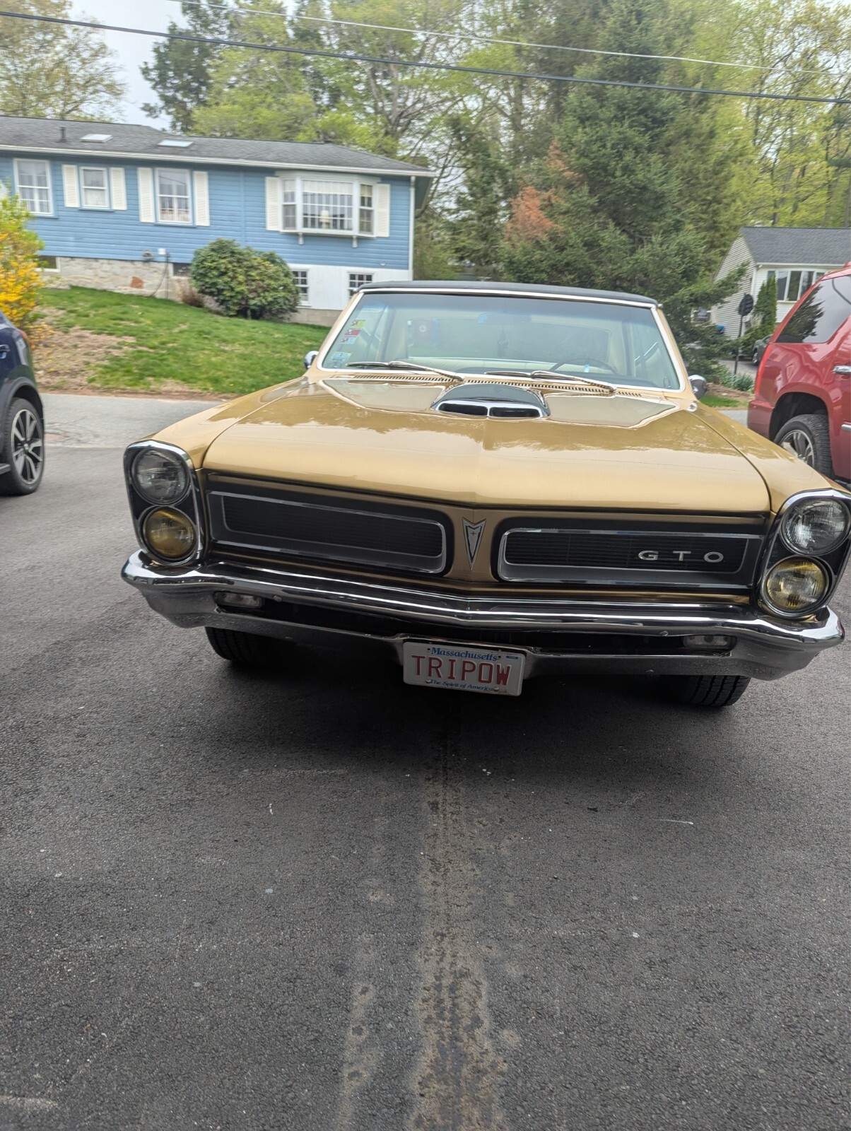 Pontiac-GTO-1965-Coupe-1