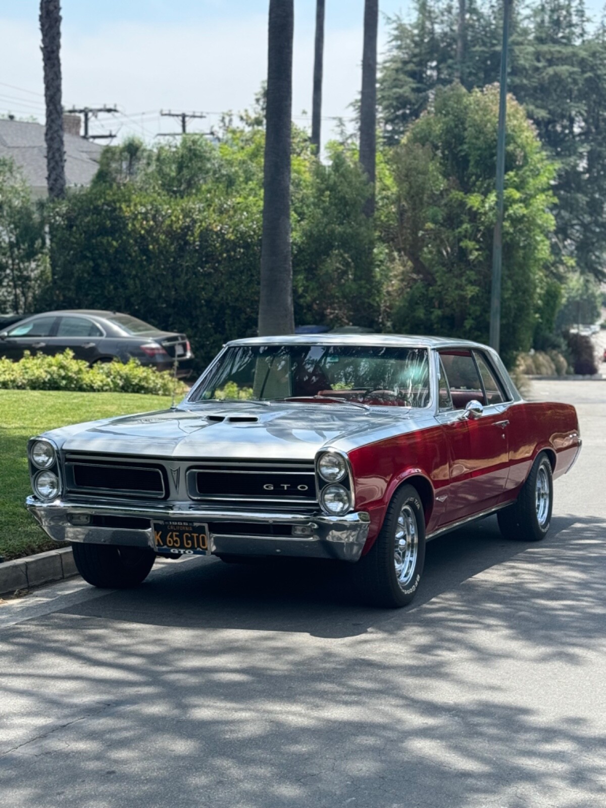 Pontiac-GTO-1965-Coupe-10