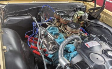 Pontiac-GTO-1965-Coupe-18