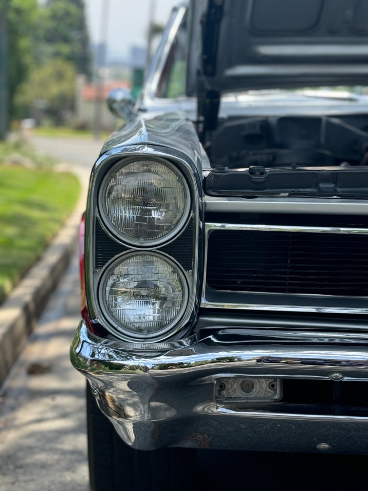 Pontiac-GTO-1965-Coupe-2