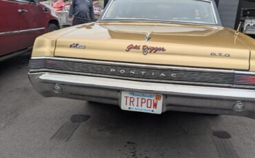 Pontiac-GTO-1965-Coupe-2