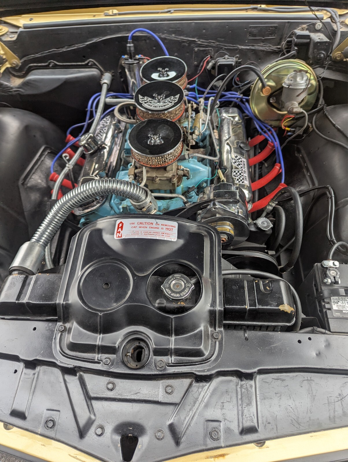 Pontiac-GTO-1965-Coupe-20
