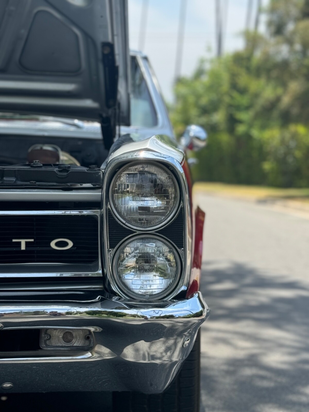 Pontiac-GTO-1965-Coupe-3