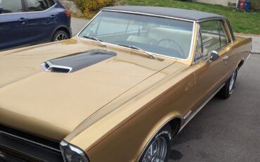 Pontiac-GTO-1965-Coupe-4