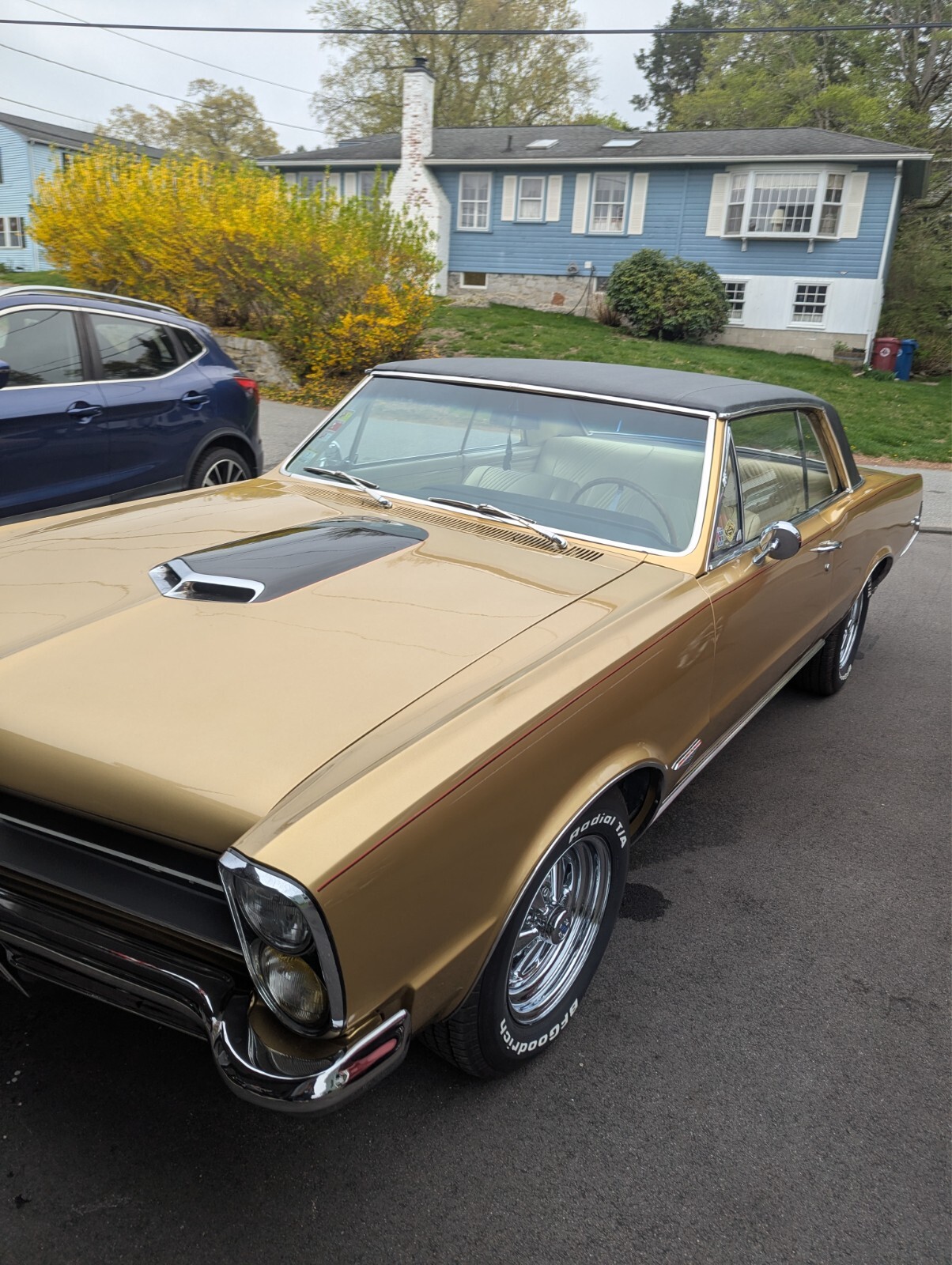 Pontiac-GTO-1965-Coupe-4