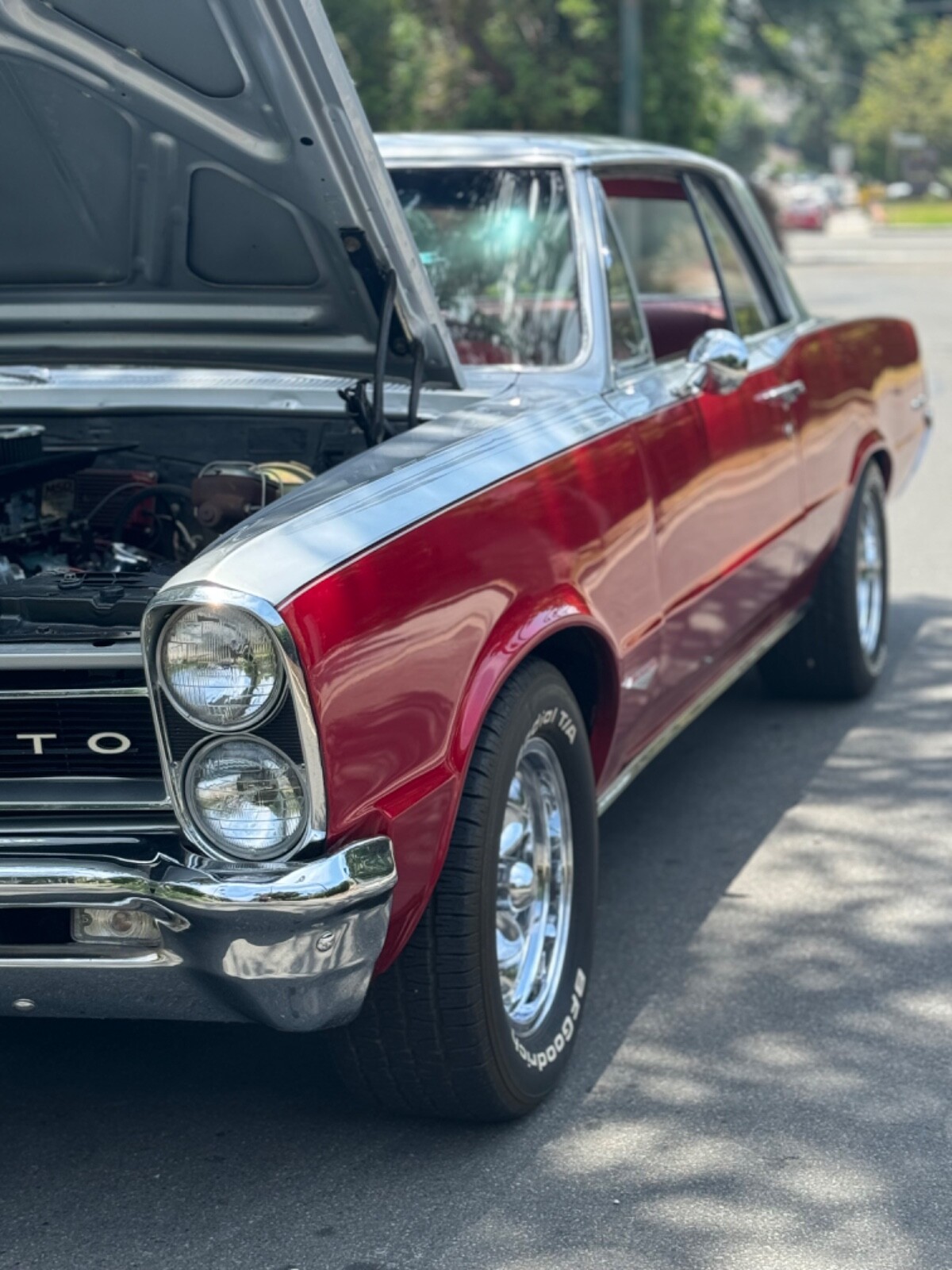 Pontiac-GTO-1965-Coupe-5