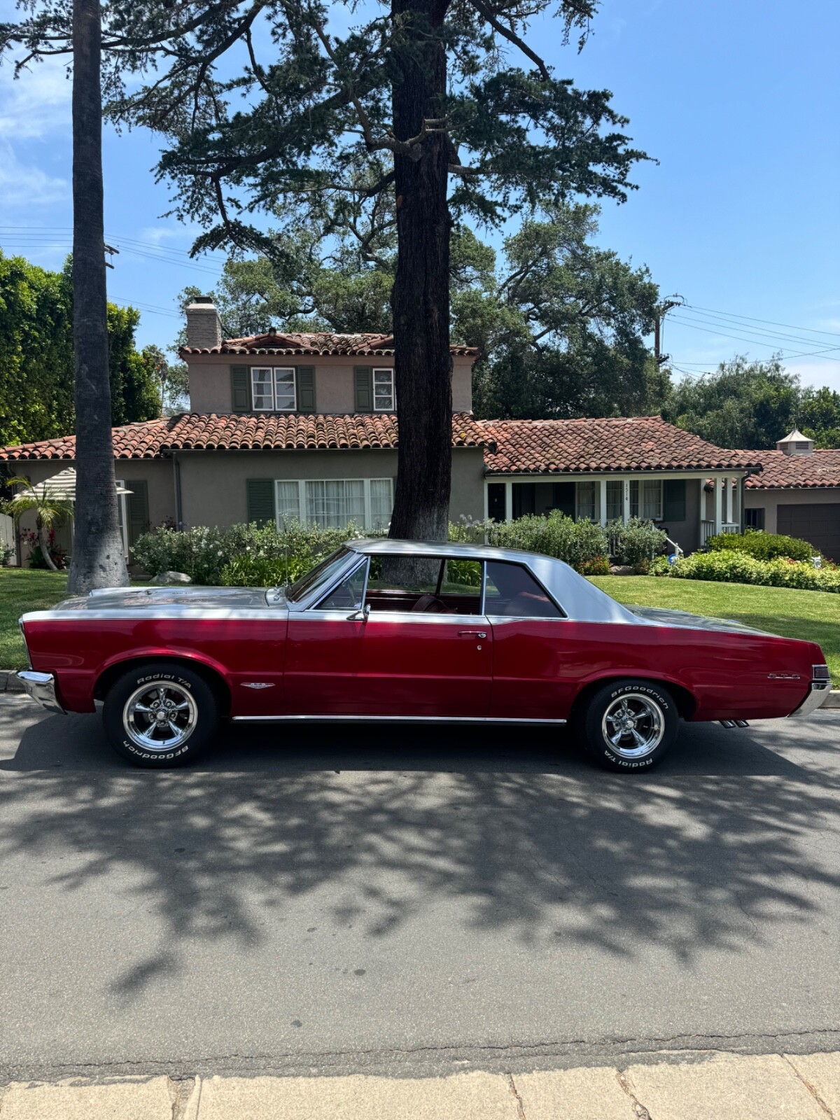 Pontiac-GTO-1965-Coupe-7