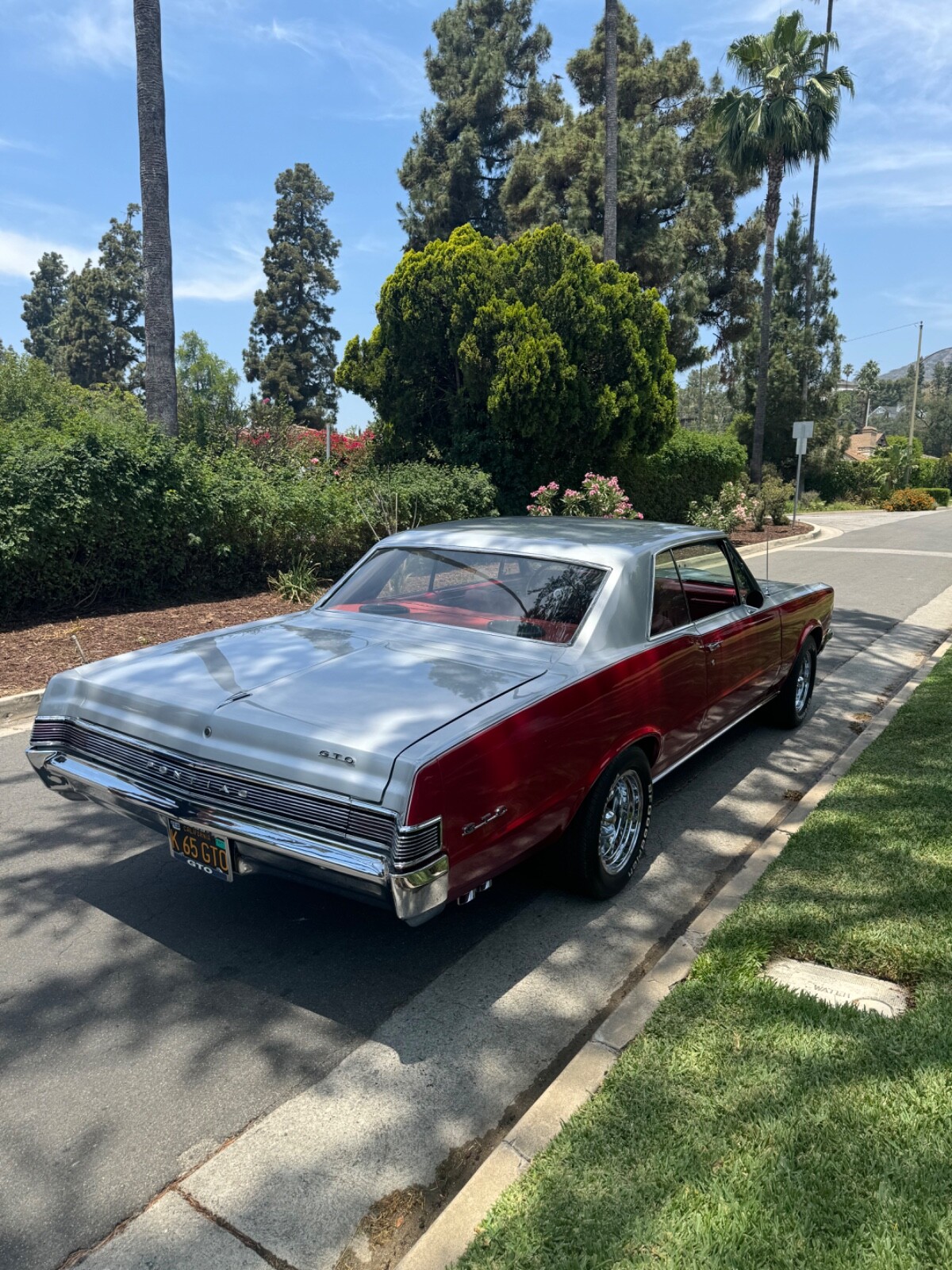 Pontiac-GTO-1965-Coupe-8
