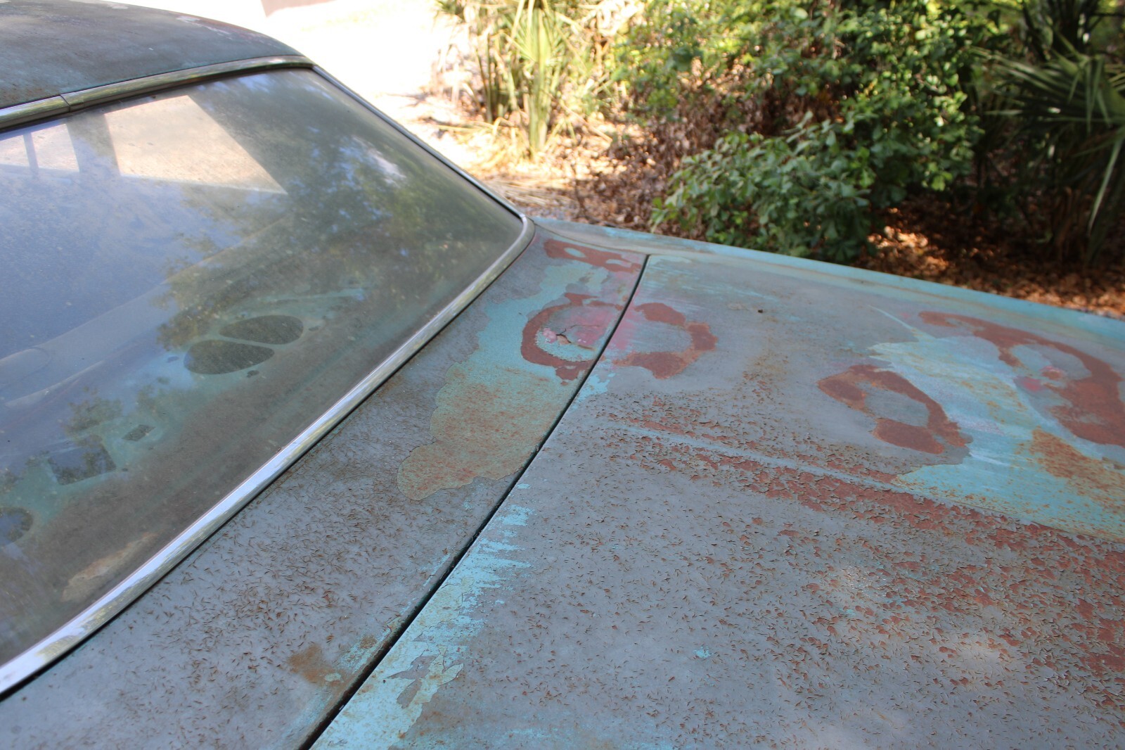 Pontiac-GTO-1965-Coupe-8