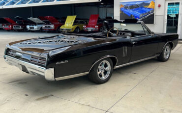 Pontiac-GTO-1967-Convertible-4