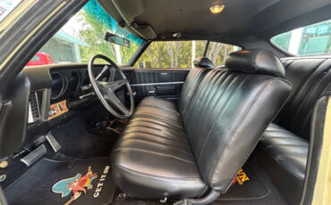 Pontiac-GTO-1969-12