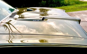 Pontiac-GTO-1969-Coupe-14