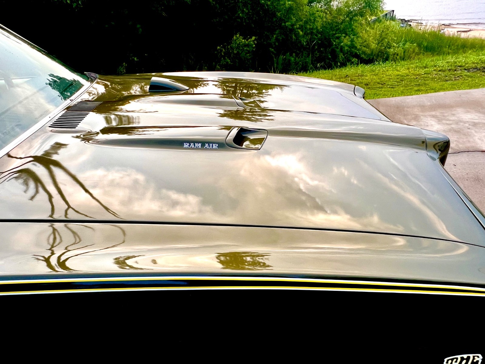 Pontiac-GTO-1969-Coupe-14