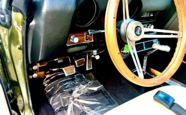 Pontiac-GTO-1969-Coupe-16
