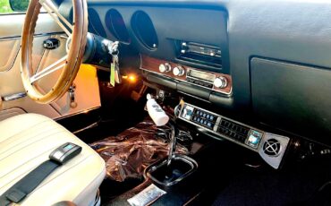 Pontiac-GTO-1969-Coupe-18