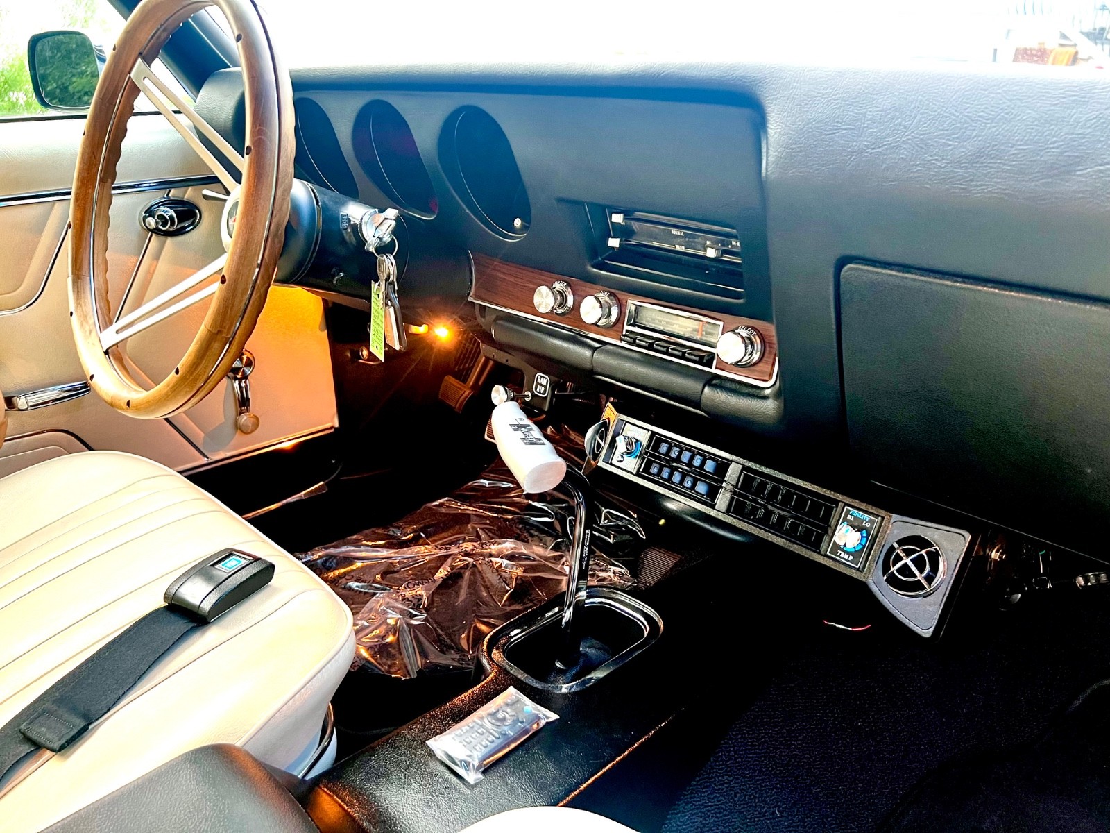 Pontiac-GTO-1969-Coupe-18