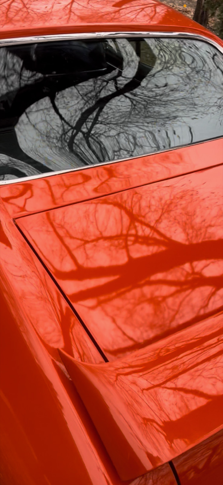 Pontiac-GTO-1969-Coupe-36