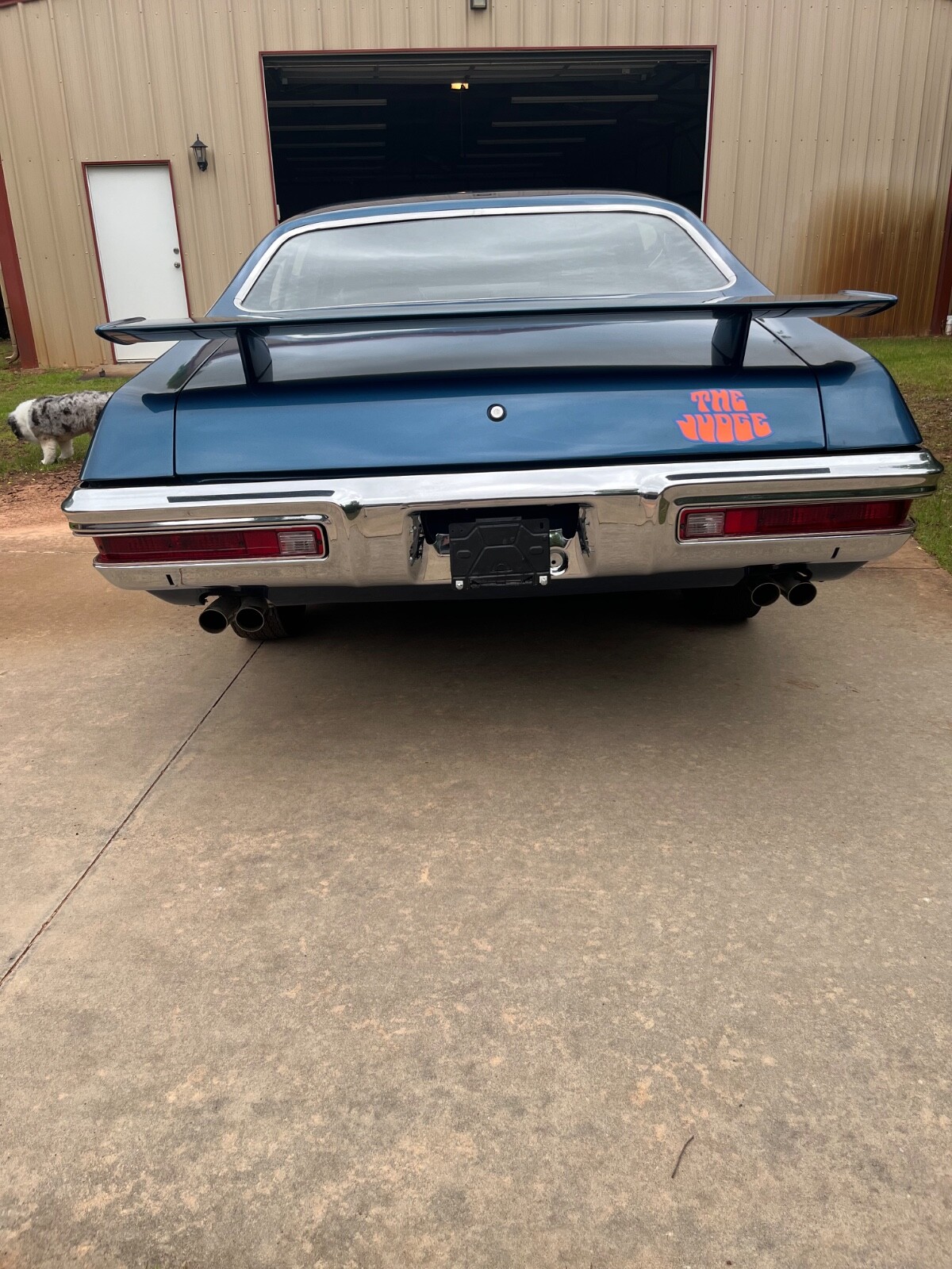Pontiac-GTO-1970-Coupe-6