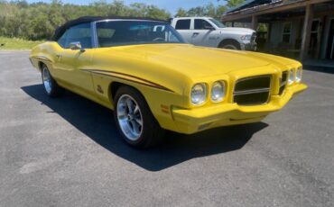Pontiac-GTO-JUDGE-Covertible-clone-1972-1