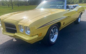 Pontiac-GTO-JUDGE-Covertible-clone-1972-17