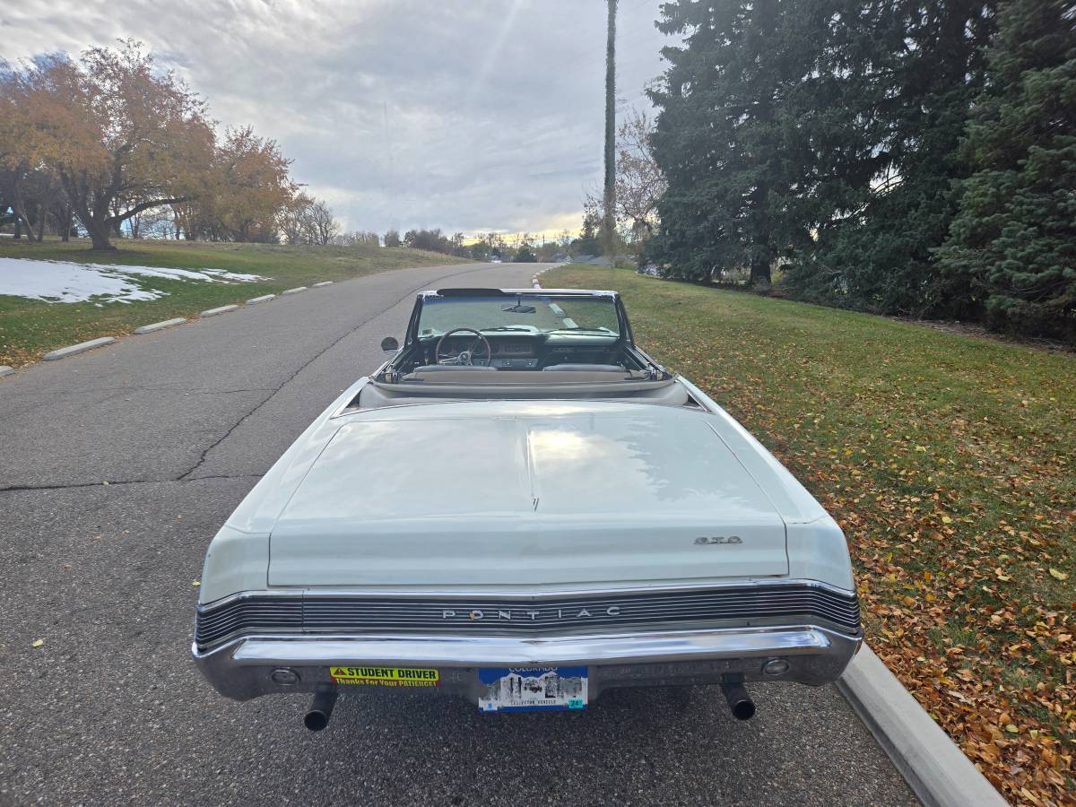 Pontiac-Gto-convertible-1965-white-14