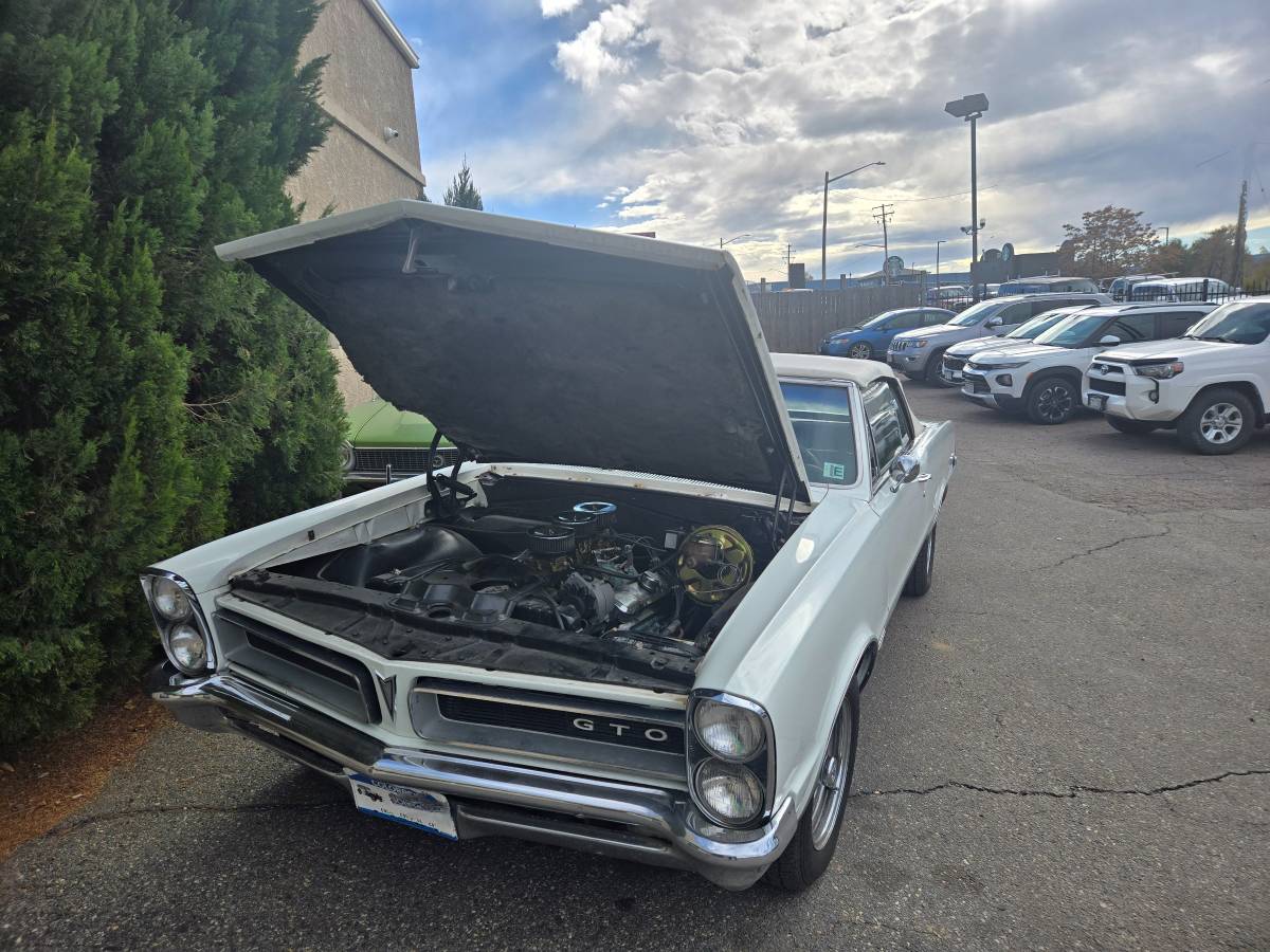 Pontiac Gto convertible  1965 white
