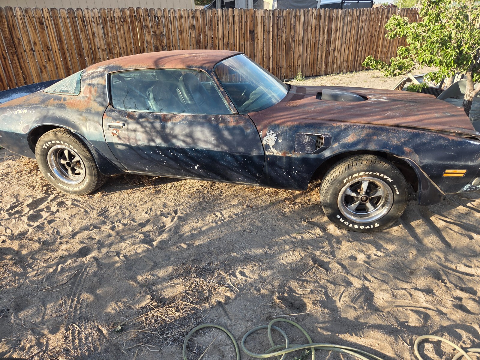 Pontiac-Trans-Am-1975-1