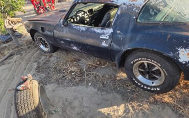 Pontiac-Trans-Am-1975-3