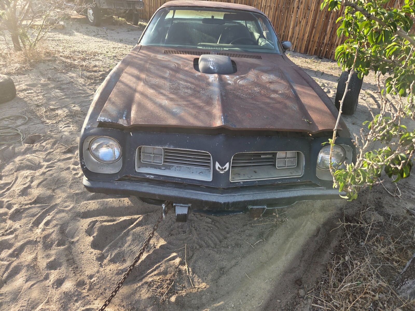 Pontiac-Trans-Am-1975