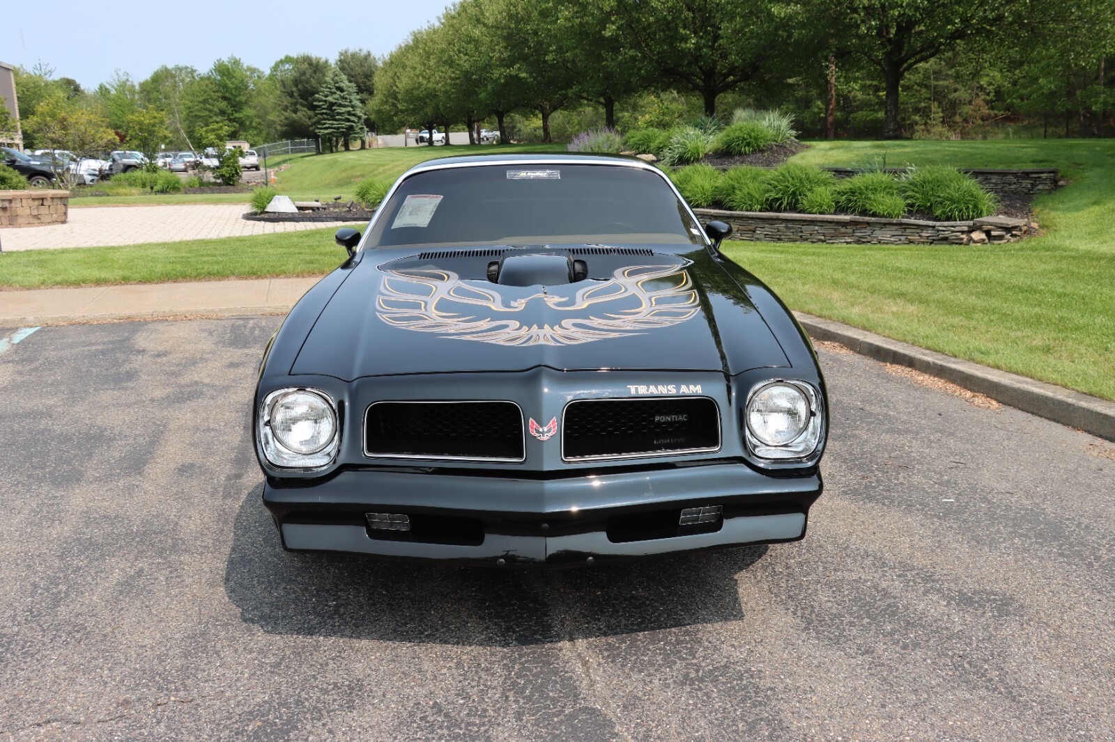 Pontiac-Trans-Am-1976-1