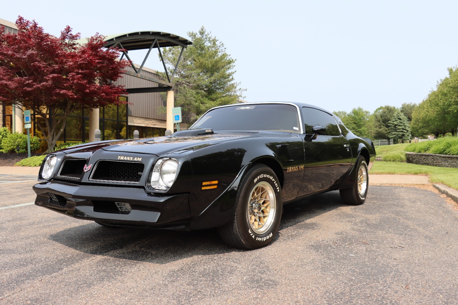 Pontiac-Trans-Am-1976-10