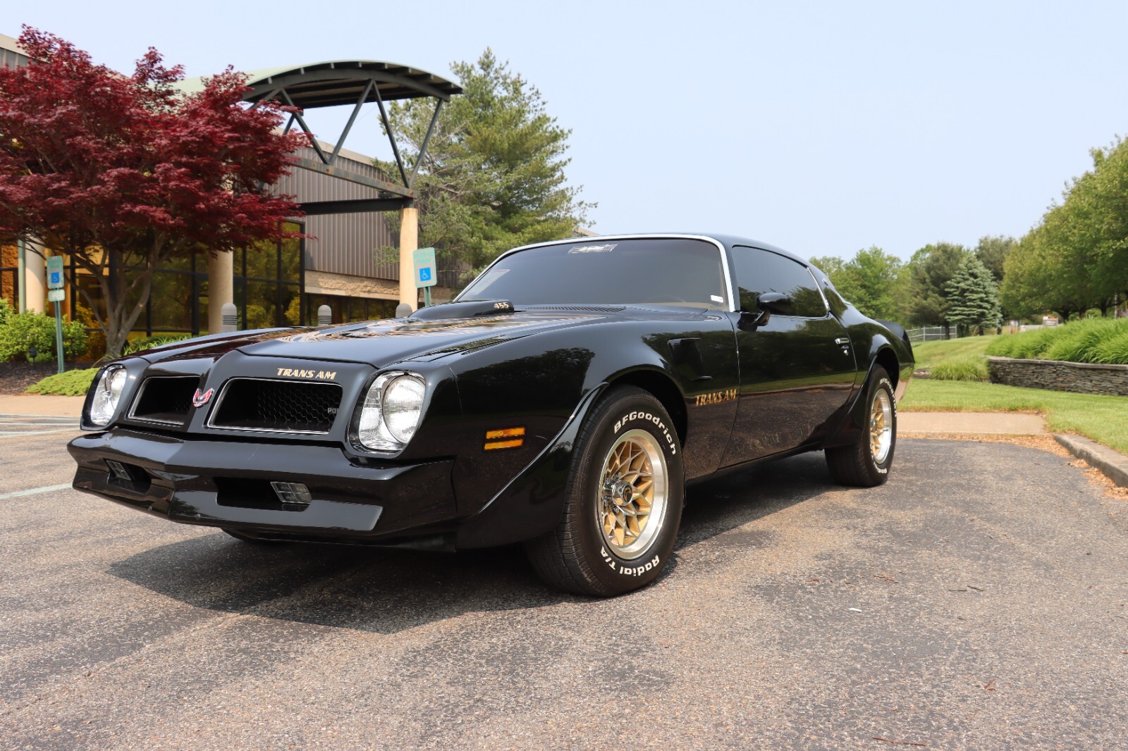 Pontiac-Trans-Am-1976-11