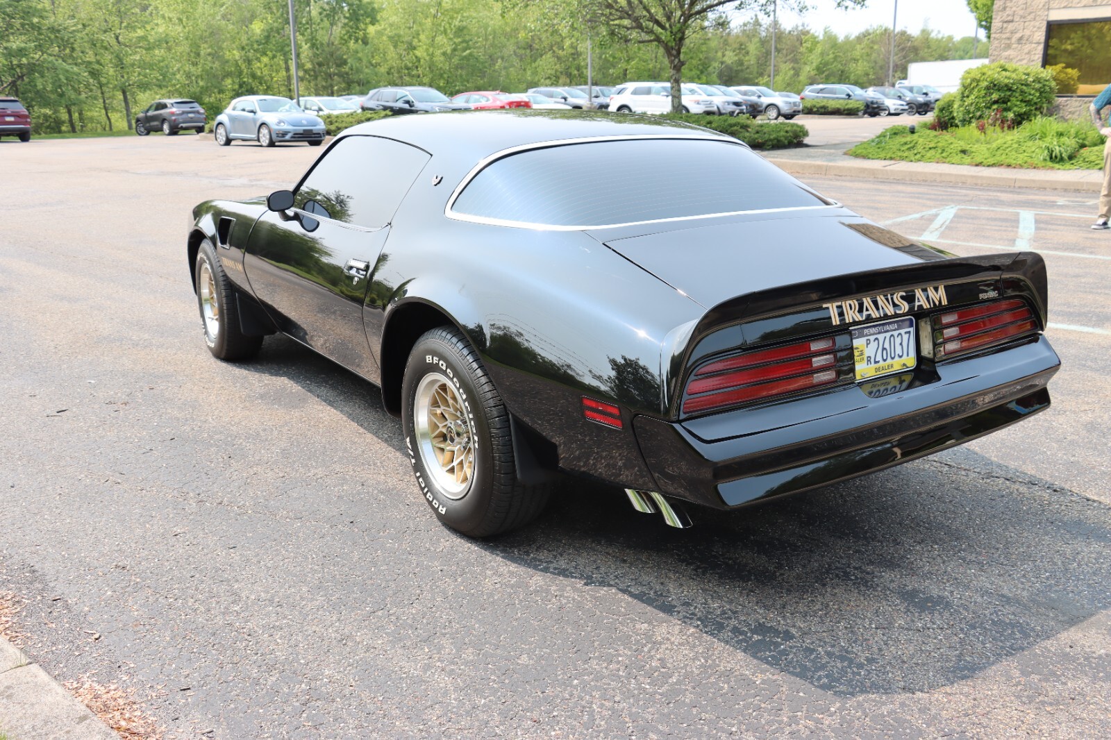 Pontiac-Trans-Am-1976-12