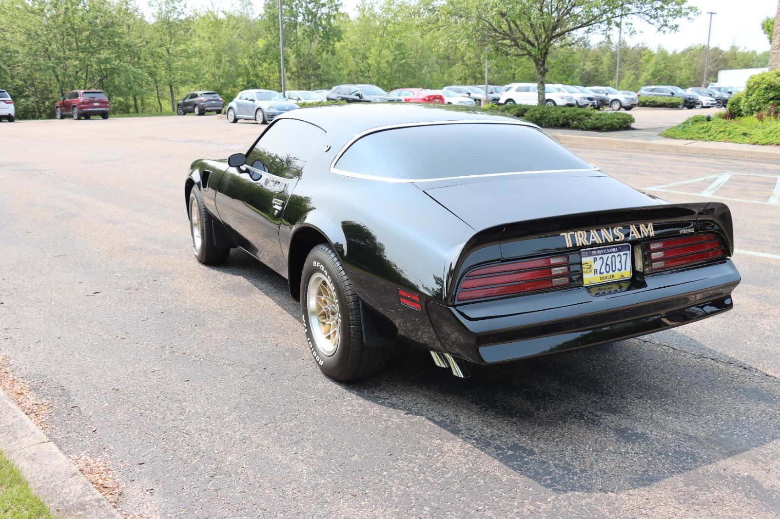 Pontiac-Trans-Am-1976-13