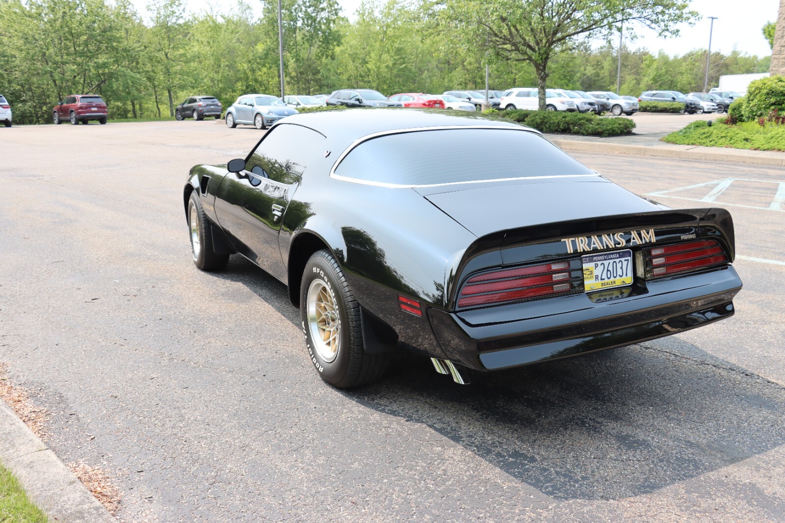 Pontiac-Trans-Am-1976-14
