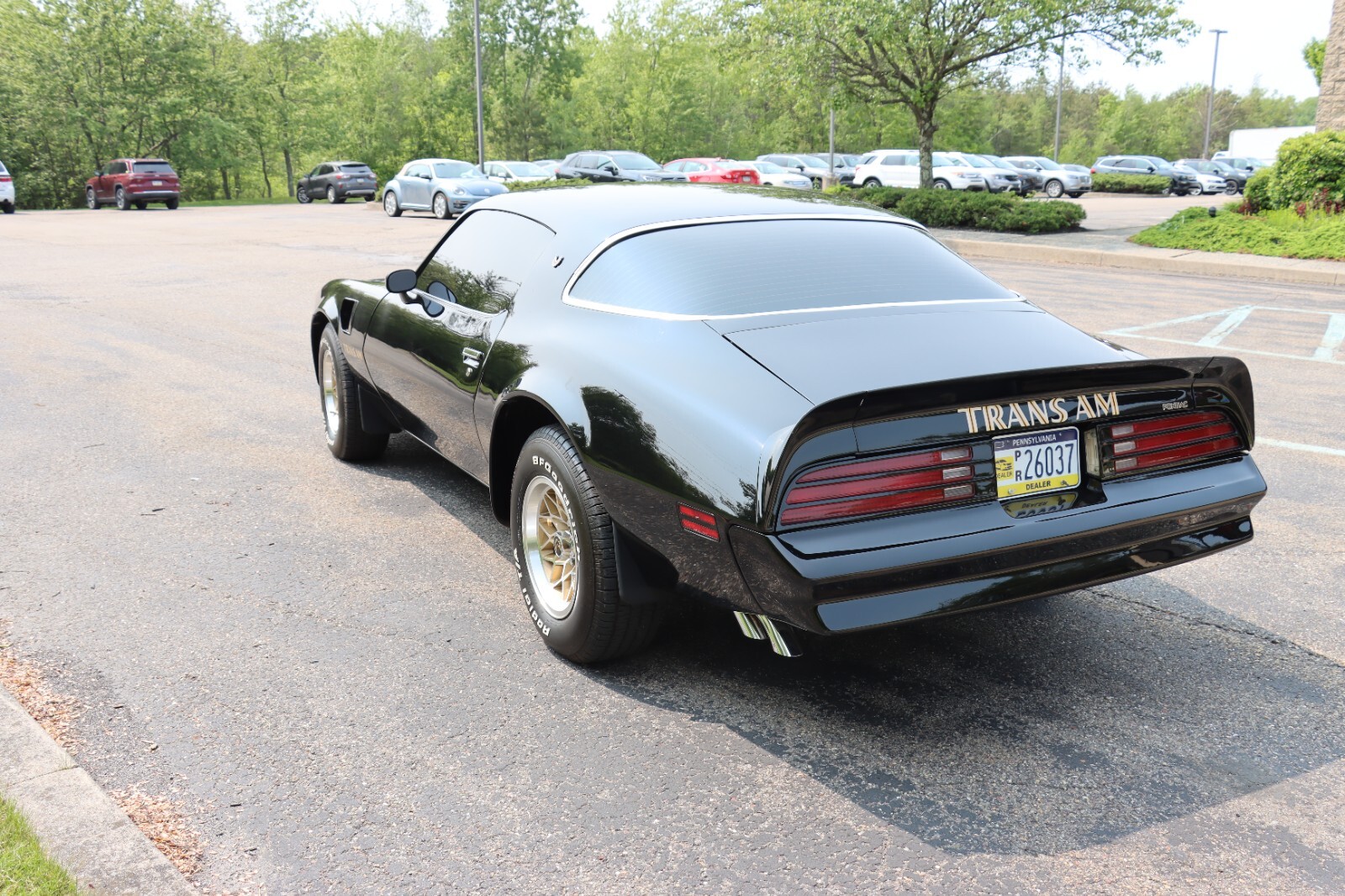 Pontiac-Trans-Am-1976-15