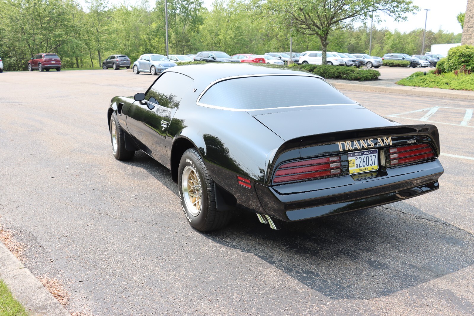 Pontiac-Trans-Am-1976-16