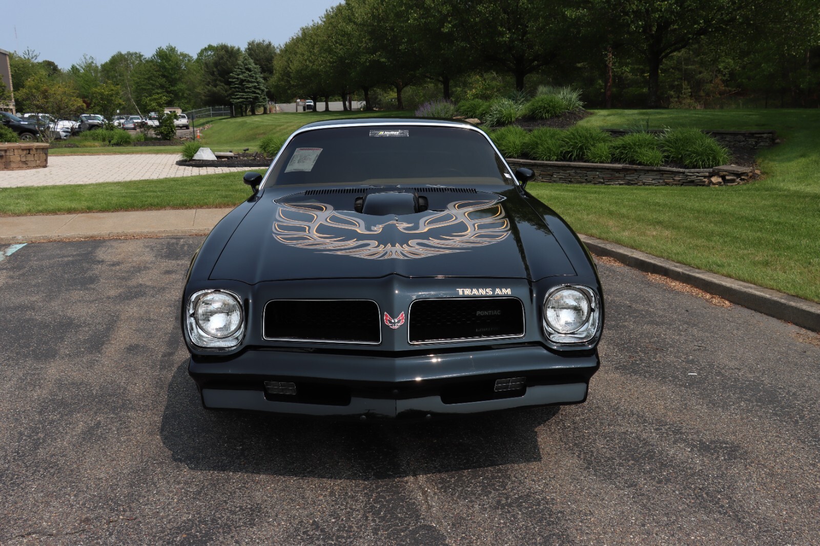 Pontiac-Trans-Am-1976-2