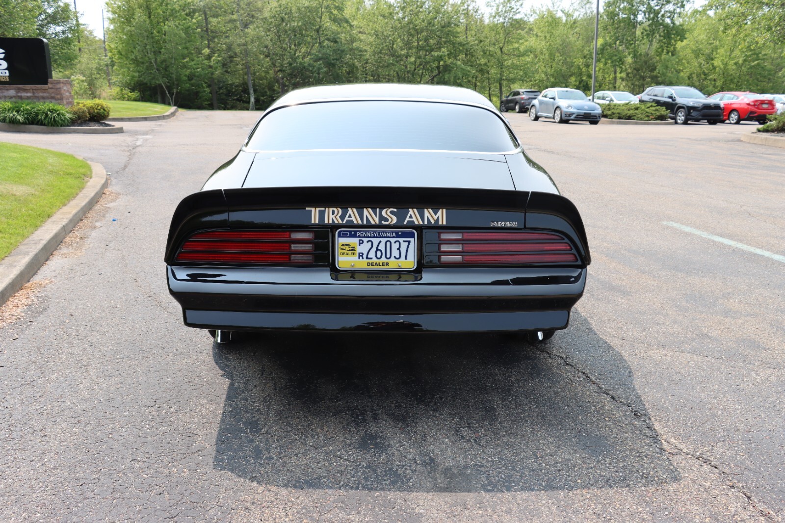 Pontiac-Trans-Am-1976-22