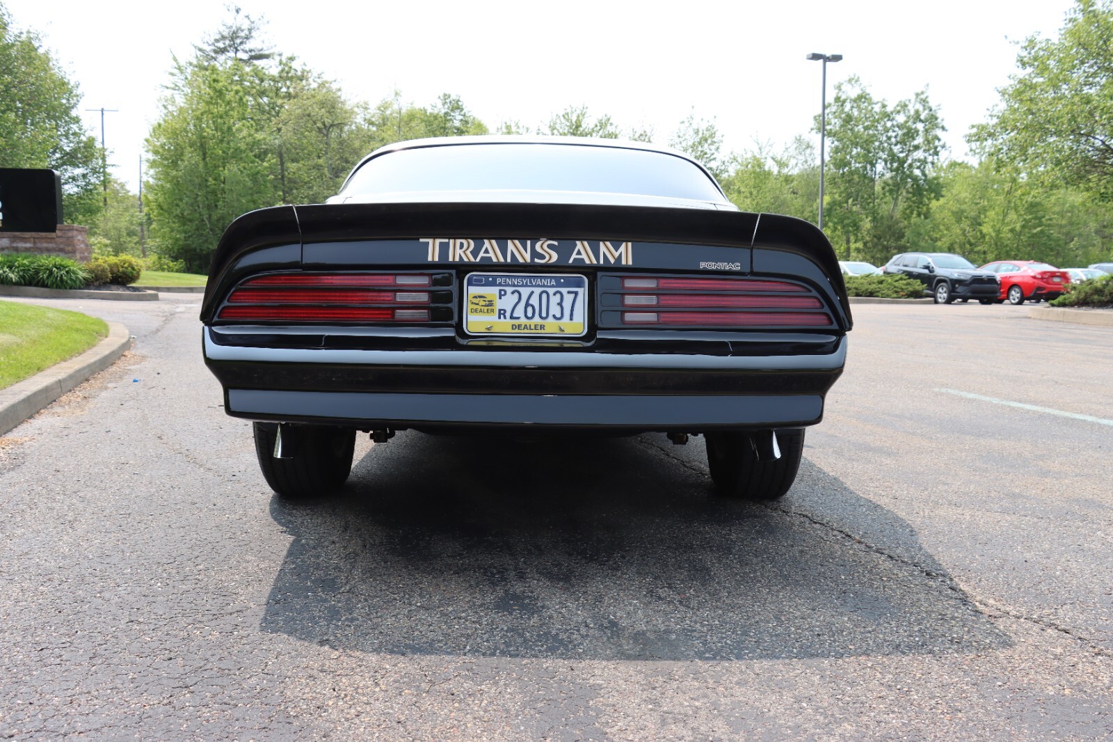 Pontiac-Trans-Am-1976-23