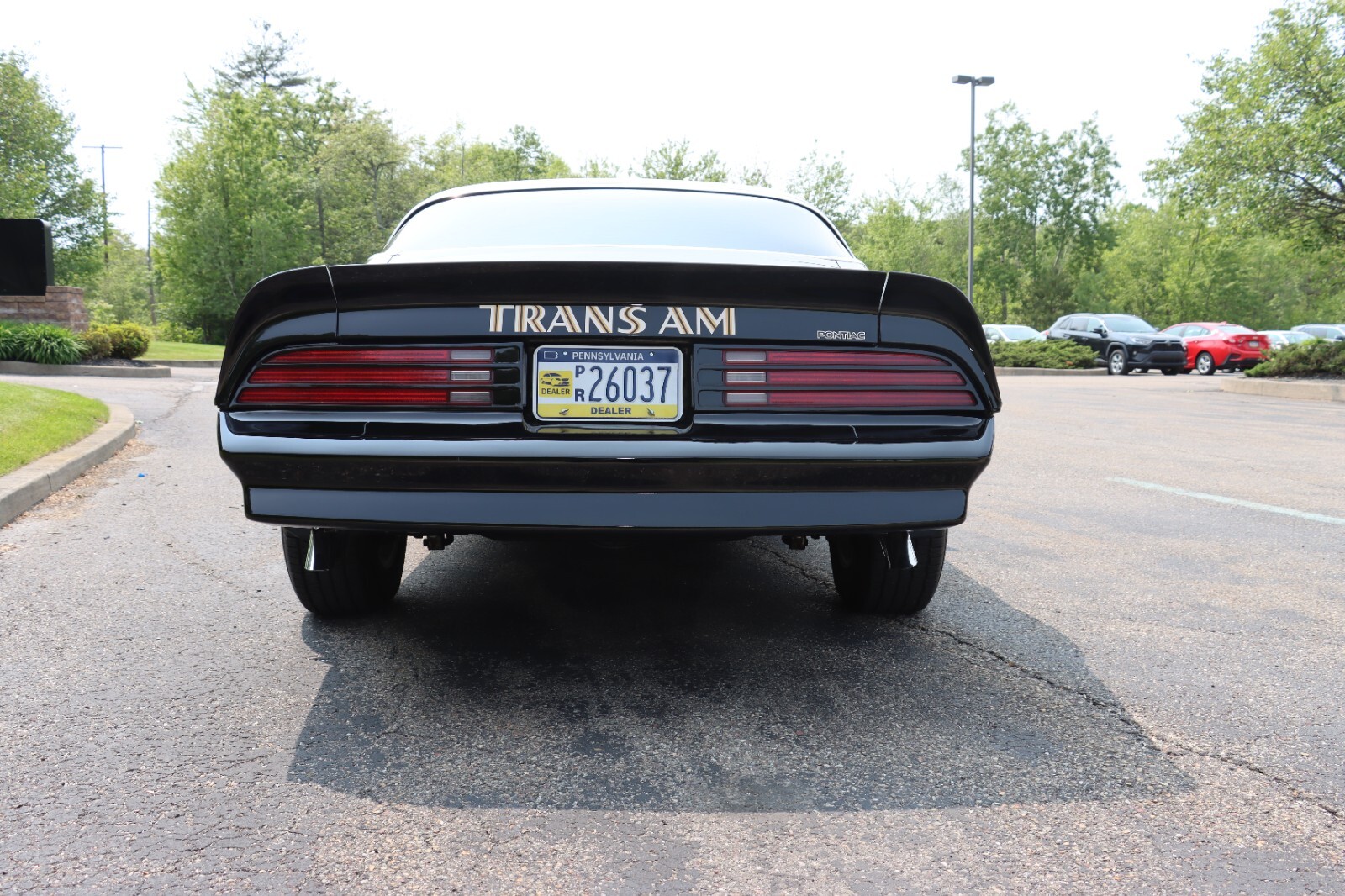 Pontiac-Trans-Am-1976-24