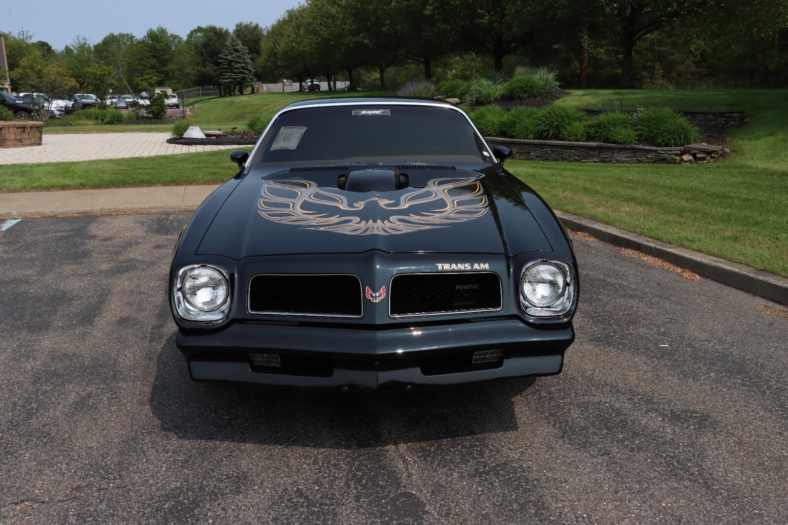 Pontiac-Trans-Am-1976-3