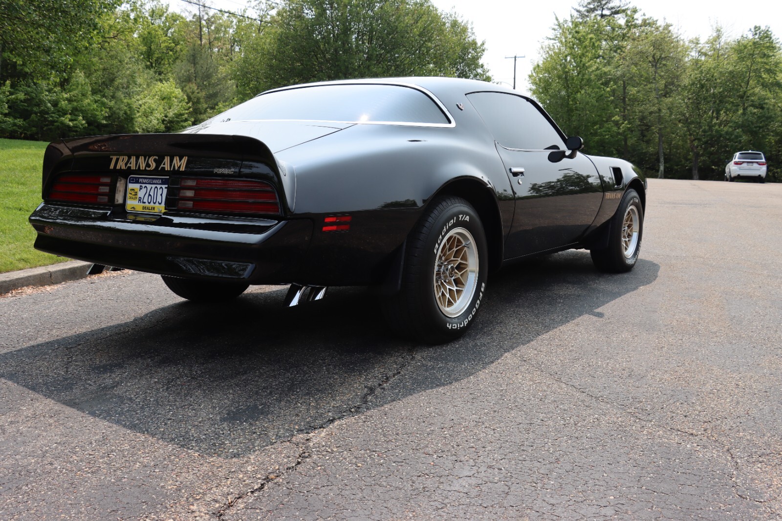 Pontiac-Trans-Am-1976-33