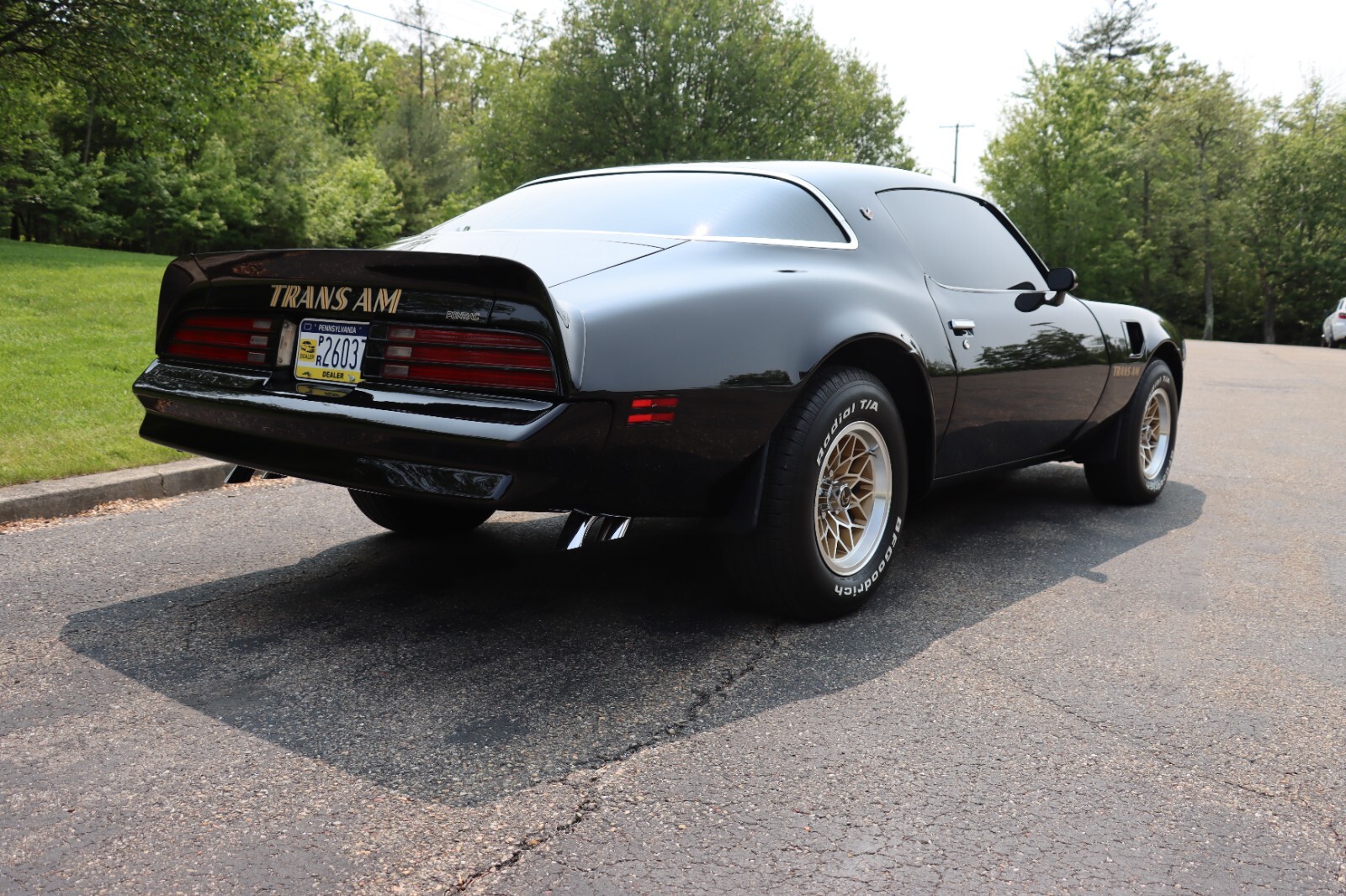 Pontiac-Trans-Am-1976-34