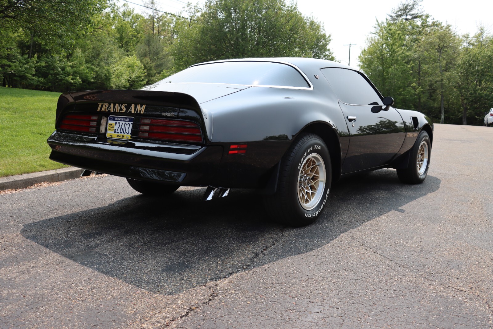 Pontiac-Trans-Am-1976-35