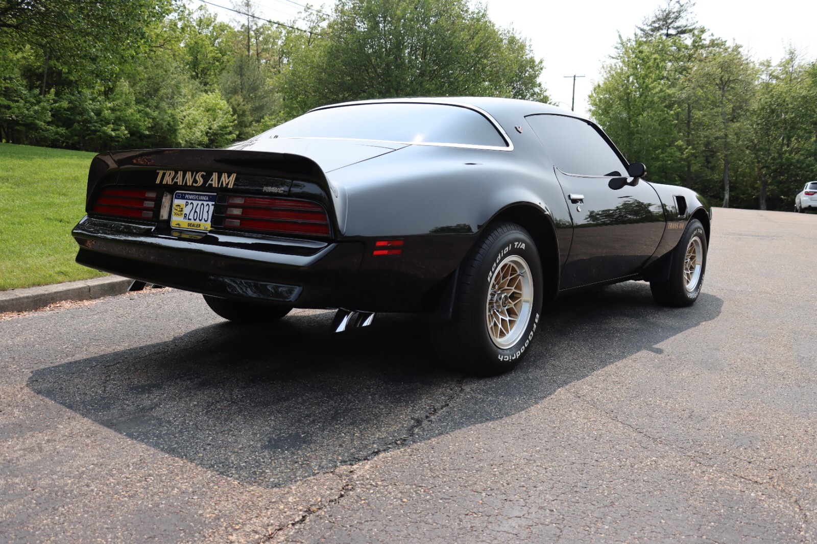 Pontiac-Trans-Am-1976-36