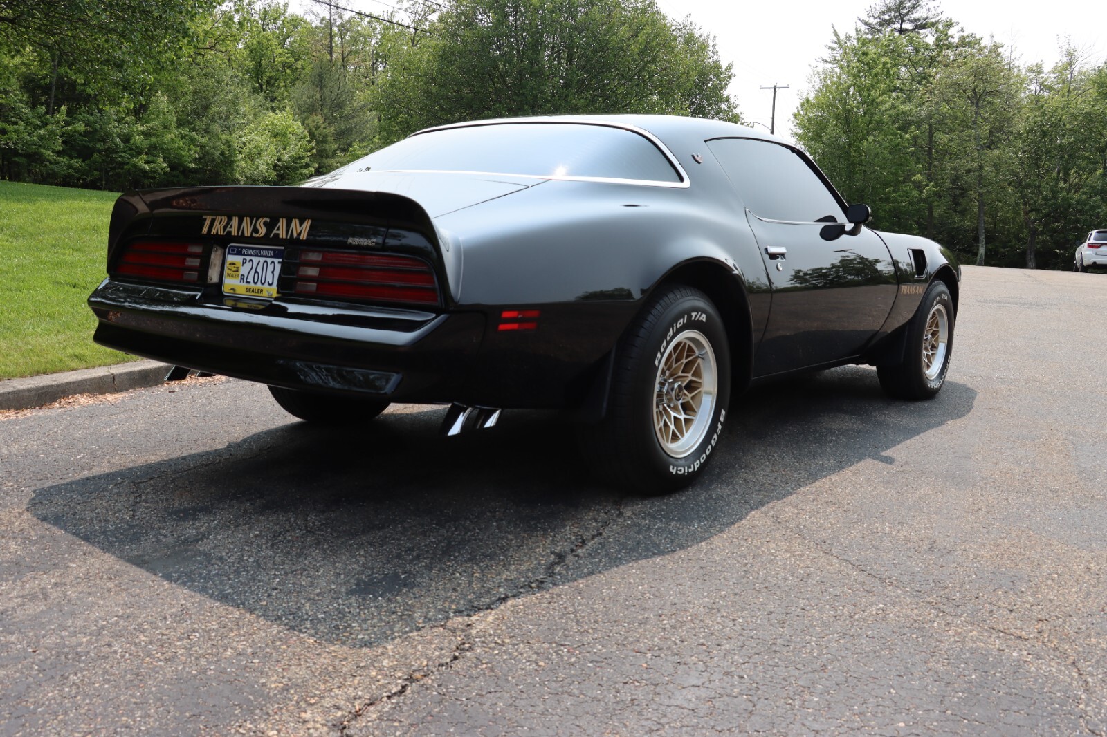 Pontiac-Trans-Am-1976-37