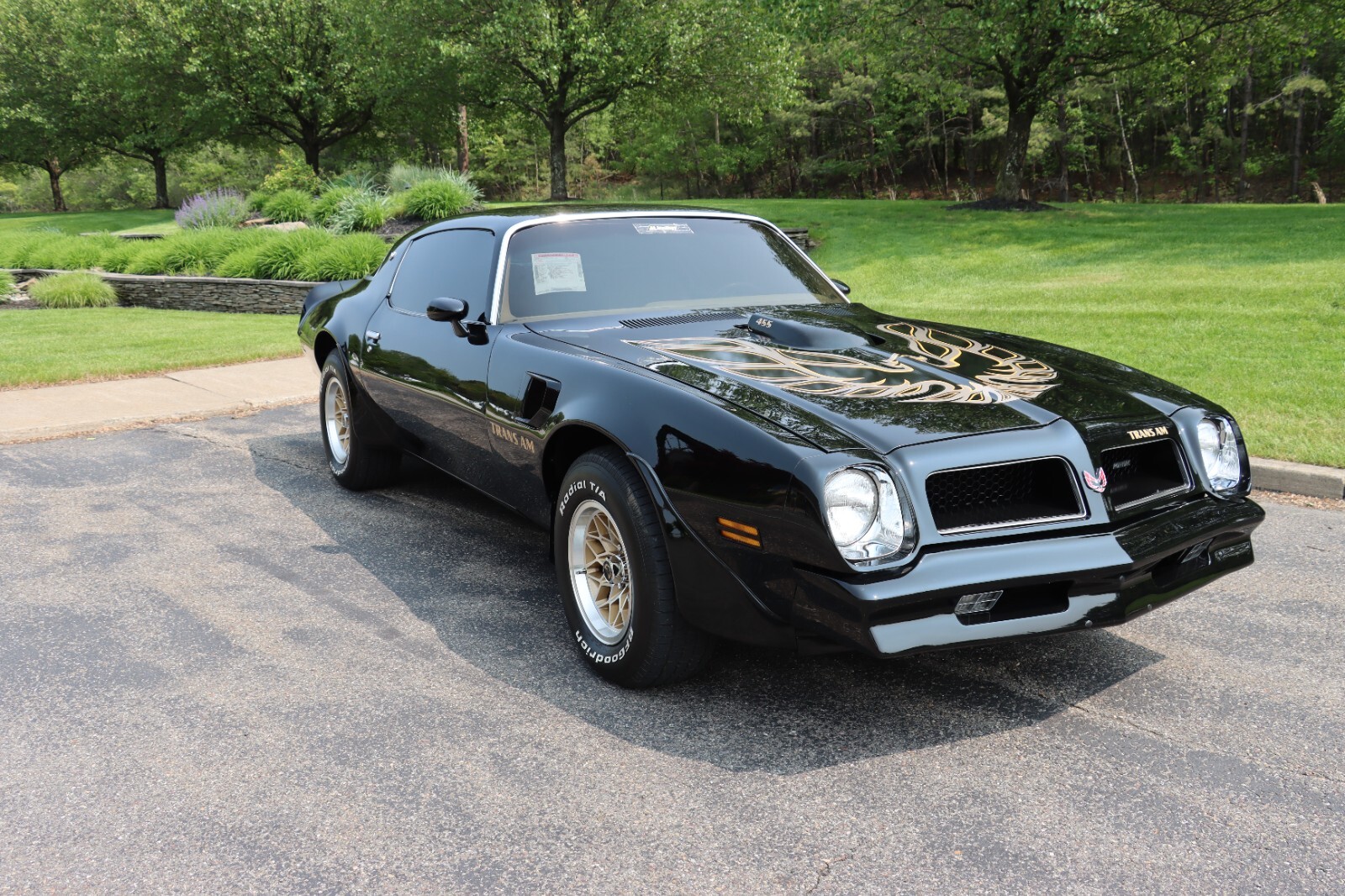 Pontiac-Trans-Am-1976-38